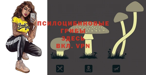 спиды Елабуга